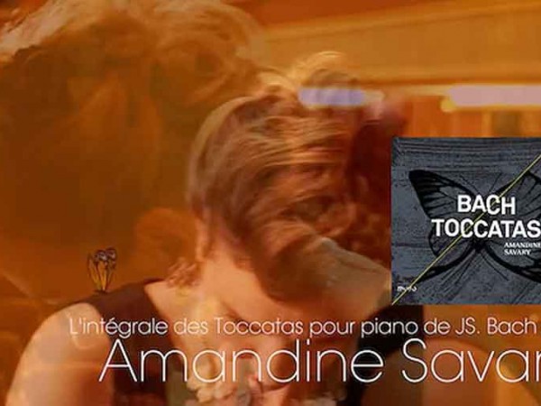 Dernier clip d'Amandine Savary sur Vimeo